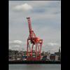 IMG_6426
3/21/2007 1:12:32 PM